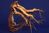 Redwood Etosha Tree, Aquarium Wurzel, Nano, Exklusiv, ET37