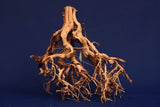 Redwood Etosha Tree, Aquarium Wurzel, Nano, Exklusiv, ET38