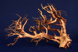 Redwood Etosha Tree, Aquarium Wurzel, Nano, Exklusiv, ET41