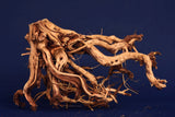 Redwood Etosha Tree, Aquarium Wurzel, Nano, Exklusiv, ET42
