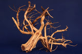 Redwood Etosha Tree, Aquarium Wurzel, Nano, Exklusiv, ET43