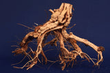 Redwood Etosha Tree, Aquarium Wurzel, Nano, Exklusiv, ET48