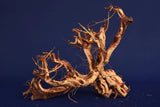 Redwood Etosha Tree, Aquarium Wurzel, Nano, Exklusiv, ET48