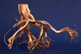 Redwood Etosha Tree, Aquarium Wurzel, Nano, Exklusiv, ET51