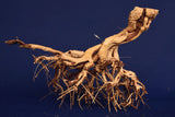 Redwood Etosha Tree, Aquarium Wurzel, Nano, Exklusiv, ET52
