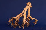 Redwood Etosha Tree, Aquarium Wurzel, Nano, Exklusiv, ET53