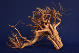 Redwood Etosha Tree, Aquarium Wurzel, Nano, Exklusiv, ET54