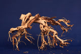 Redwood Etosha Tree, Aquarium Wurzel, Nano, Exklusiv, ET56
