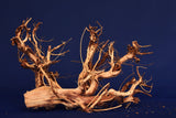 Redwood Etosha Tree, Aquarium Wurzel, Nano, Exklusiv, ET56