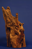 Mangrovenholz, Mangrovenwurzel, Größe "L", Premium, MG611