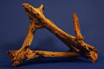 Mangrovenholz, Mangrovenwurzel, Größe "L", Premium, MG612