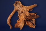 mangrovenwurzel-gross-mangrovenholz-mg619
