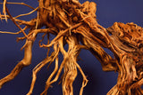 Redwood, Aquarium Wurzel, Größe "L", Exklusiv, RH2611