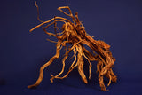 Redwood, Aquarium Wurzel, Größe "L", Exklusiv, RH2611