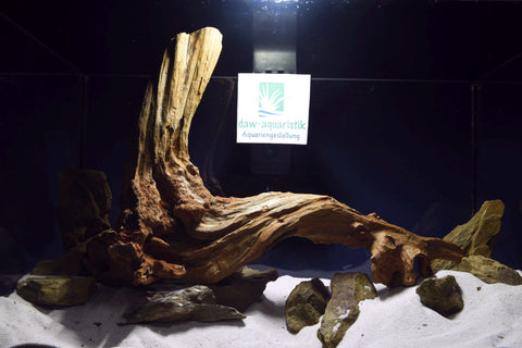 slim-wood-aquarium-wurzel-kaufen-215