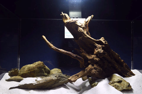 slim-wood-aquarium-wurzel-kaufen-216