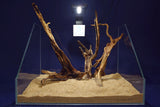 slim-wood-aquarium-wurzel-kaufen