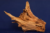 Taigaholz / Scaperwood exquisite / Aquarium Wurzel 113
