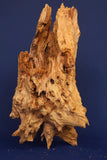 Taigaholz / Scaperwood exquisite / Aquarium Wurzel 114