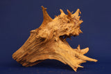 Taigaholz / Scaperwood exquisite / Aquarium Wurzel 116