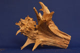Taigaholz / Scaperwood exquisite / Aquarium Wurzel 116