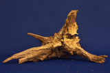 Taigaholz / Scaperwood exquisite / Aquarium Wurzel 117