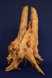 Taigaholz / Scaperwood exquisite / Aquarium Wurzel 119