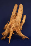 Taigaholz / Scaperwood exquisite / Aquarium Wurzel 119