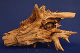 Taigaholz / Scaperwood exquisite / Aquarium Wurzel 120