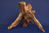 Taigaholz / Scaperwood exquisite / Aquarium Wurzel 121