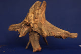 Taigaholz / Scaperwood exquisite / Aquarium Wurzel 121