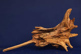 Taigaholz / Scaperwood exquisite / Aquarium Wurzel 123