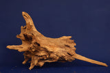 Taigaholz / Scaperwood exquisite / Aquarium Wurzel 123