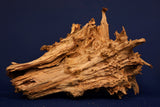 Taigaholz / Scaperwood exquisite / Aquarium Wurzel 93