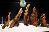 Mangrovenholz, Aquarium Wurzeln, Sets in verschiedenen Größen #01