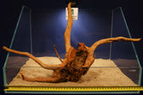 Redwood, Aquarium Wurzeln, verschiedene Varianten #15