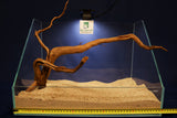 Redwood, Aquarium Wurzeln, verschiedene Varianten #15