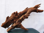 Mangrovenholz, Mangrovenwurzel, Größe "XL", Premium, MGL489