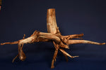Moorkienwurzel, echtes Moorkienholz, Größe "XL", Premium - M399