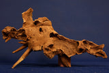 Afrikanisches Hartholz / Savannenholz / Aquarium Wurzel SV238