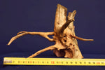 Redwood Hartholz, Aquarium Wurzeln in verschiedenen Varianten, Nano #16