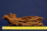 Mangrove wood, mangrove root, size "XL", Premium, MGL444