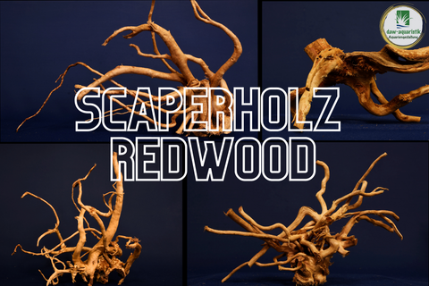 Redwood, aquarium roots in different variants, nano # 4