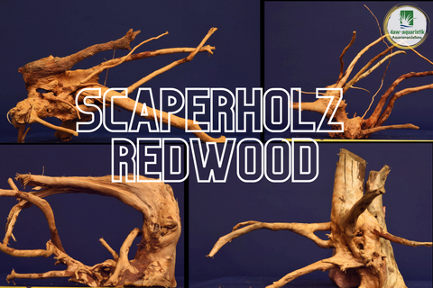Redwood Hartholz, Aquarium Wurzeln in verschiedenen Varianten, Nano #16