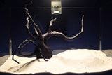 Schwarze-Moorwurzel-Aquarium-Deko-SH02