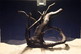 Schwarze-Moorwurzel-Aquarium-Deko-SH07