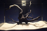 Schwarze-Moorwurzel-Aquarium-Deko-SH08