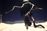 Schwarze-Moorwurzel-Aquarium-Deko-SH14