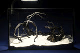 Schwarze-Moorwurzel-Aquarium-Deko-SH58
