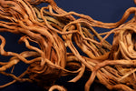Redwood, aquarium root, size "L", Premium, RH1720